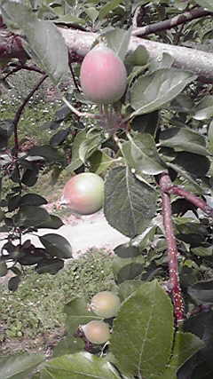 2011060713260000
