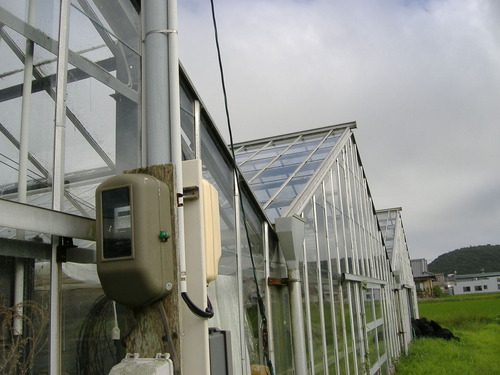 ²èÁüÀ¥¸Í»áÇÀºîʪ 116