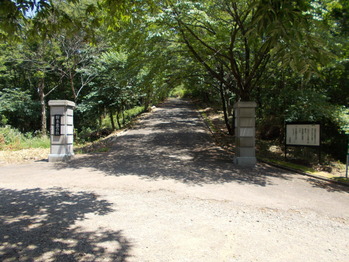 DSCN0003