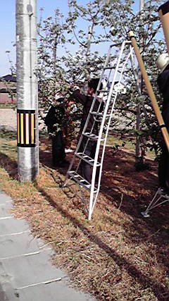 2010051516380001