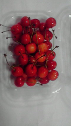 2011061819460000