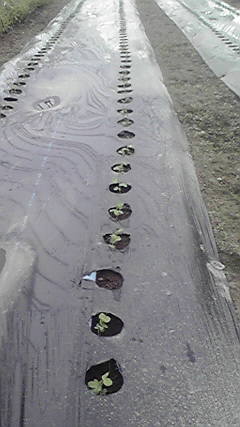 2011091715470001