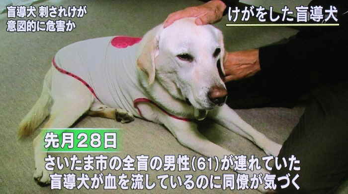 20140828-nhk-moudouken