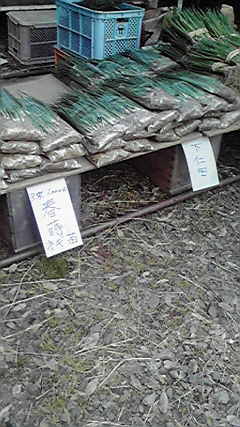 2011050110580000
