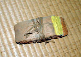 tukegi