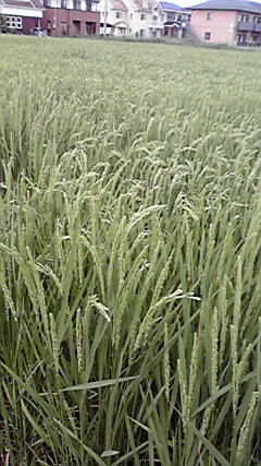 2010081715470000