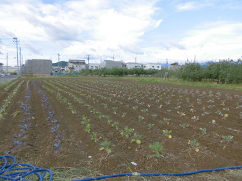 CIMG0065
