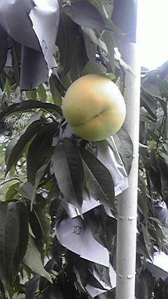 2011082714060000