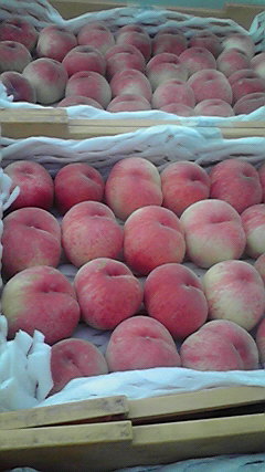 2010080205250000