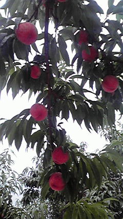 2010080206090000