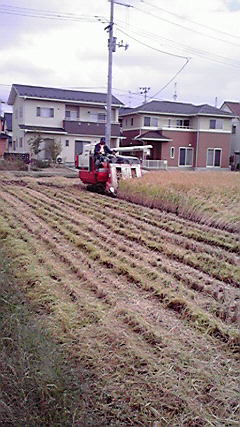 2010100409440000