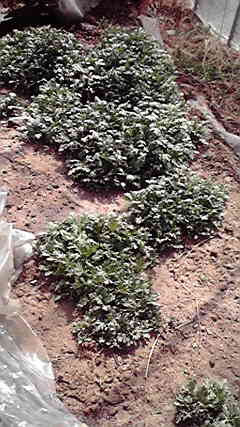 2011032313070002