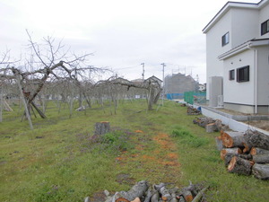 CIMG0008