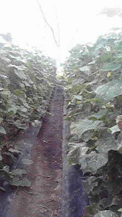 2011091715440000