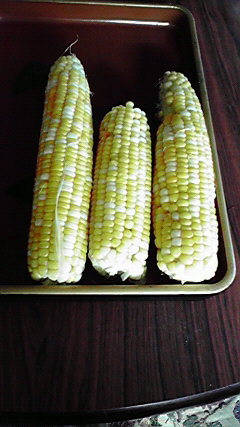 2010072108120000