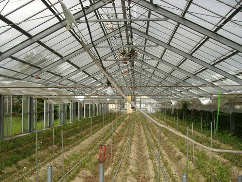 ²èÁüÀ¥¸Í»áÇÀºîʪ 115