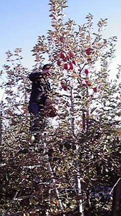 2010120514040000