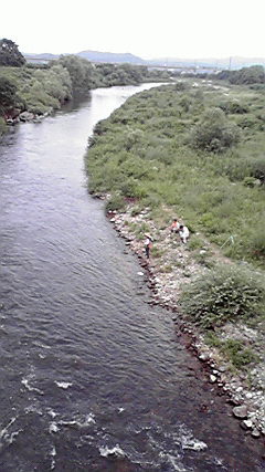 2010072516240001