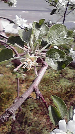 2010050508480000