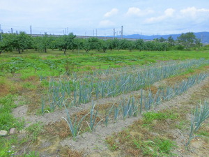 CIMG0122