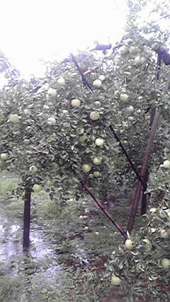 2011092216170000
