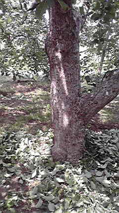 2011060713280000