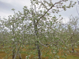CIMG0037
