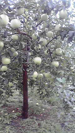 2011092216130000