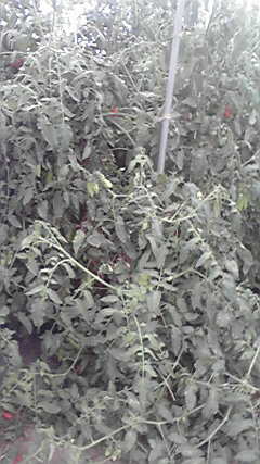 2011091715470000