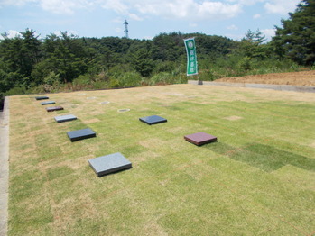 DSCN0009
