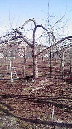 2011022215300000
