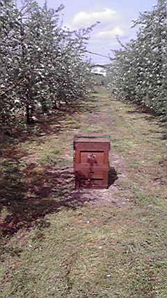 2011050509150000