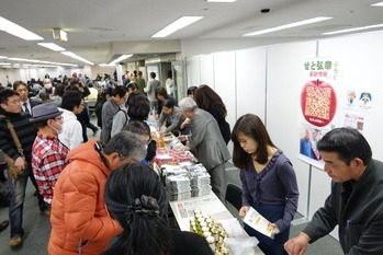 DSC06461_preview