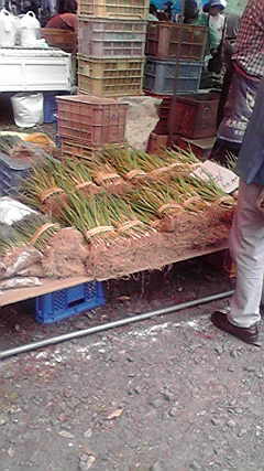 2012050110260001