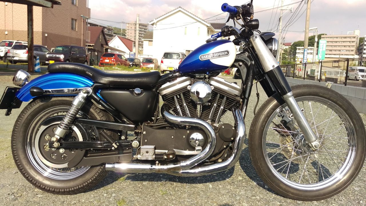 スポーツスター/ダイナ 39Φナロー用 19インチ用 ショートフロント