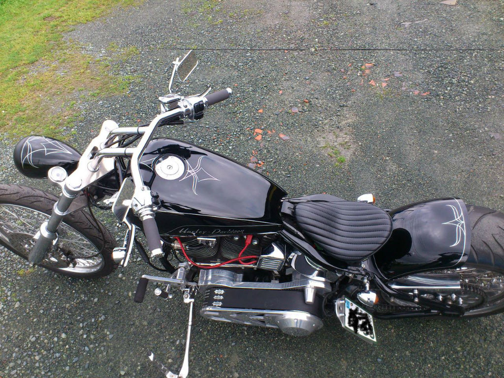 ハーレーカスタムショップ ザスカルヘッド
	  ピンストライパーデビュー。 ’96 FXSTC 　
	コメント