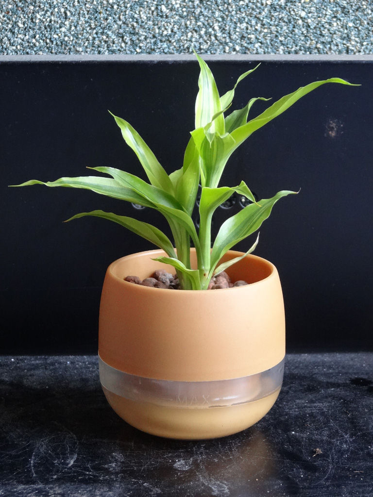 増えた鉢 第三艦橋大破