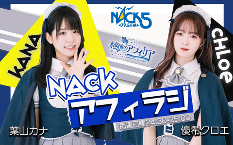 nack HP用