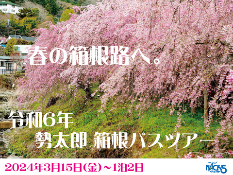 5341e7d0494919f5
