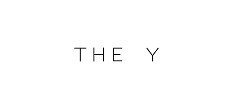 THE Y______information