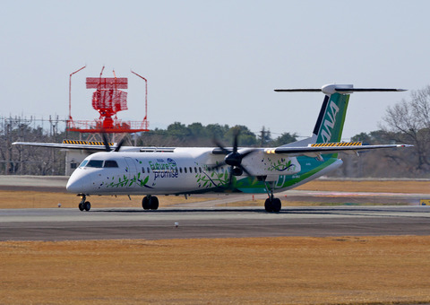 ◆◆◆◆◆◆DSC_0236