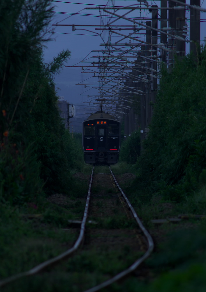 0a748e6c.jpg