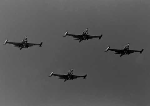 ◆◆◆◆◆◆DSC_1975