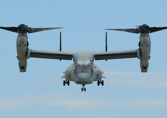 16fea046.jpg