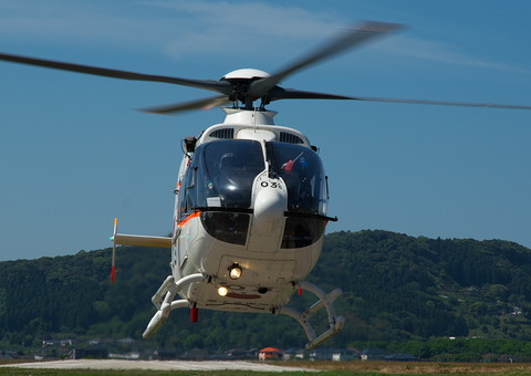 ◆◆◆◆◆◆DSC_5953