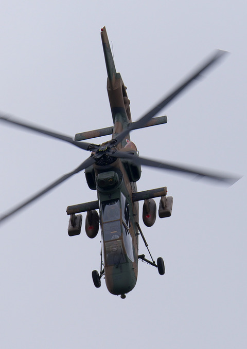 ◆◆◆◆◆◆DSC_0788