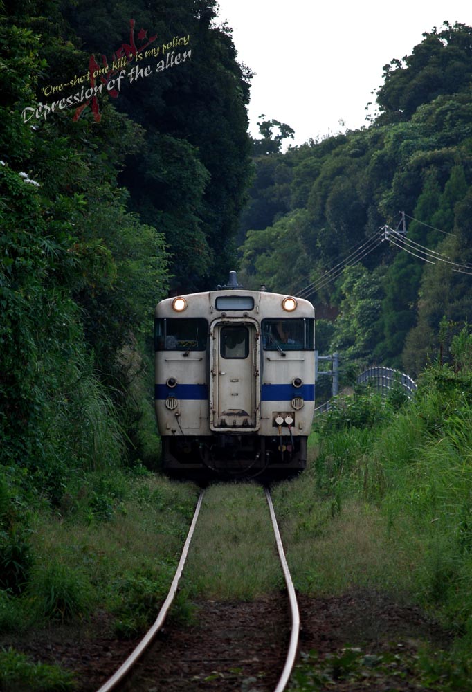 375e4087.jpg