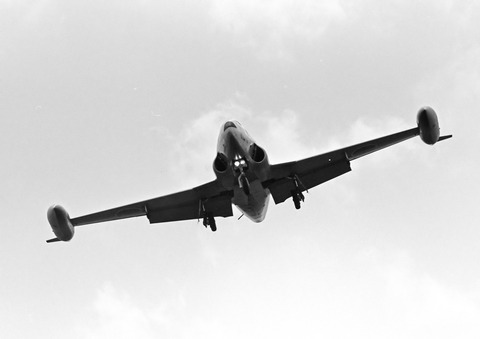 ◆◆◆◆◆◆DSC_1315