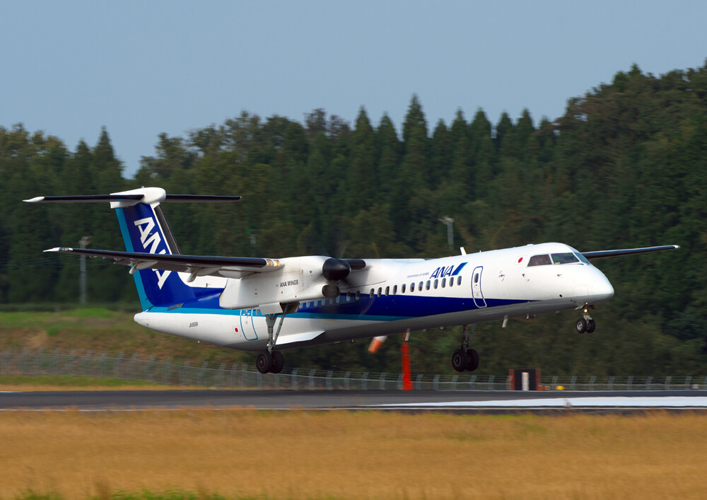 ボンバルディア Dhc 8 鹿児島空港にて The Aliens Nest