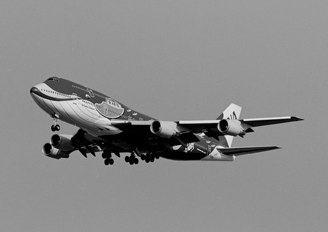 1/400 ANA B747-400D JA8963 マリンジャンボ ANA B747-400D「JA8963」マリンジャンボ : THE ALIENS NEST